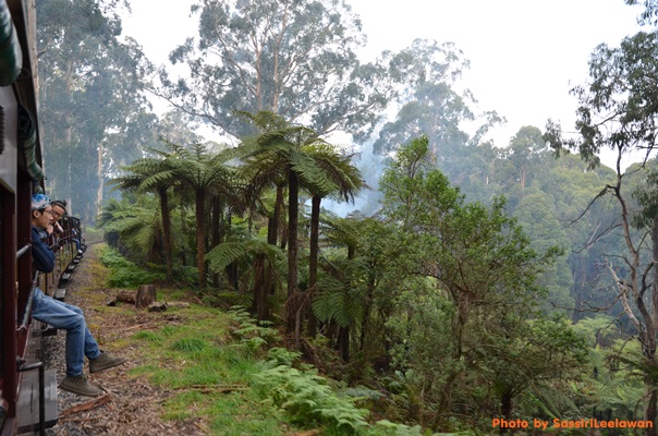 o6lus1ordorajboj5hl-o