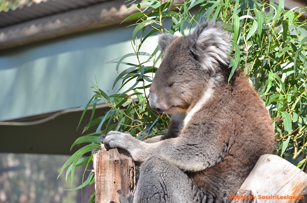 o6lyhi5egv01z9pal2i-o