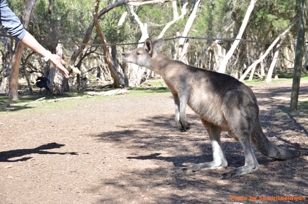 o6lyi6i2vew2bhl3ffr-o