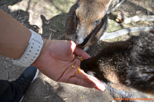 o6lyingmoq38wqssrzy-o