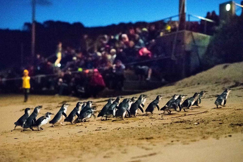 o6lylld79ntczvyj68e-o