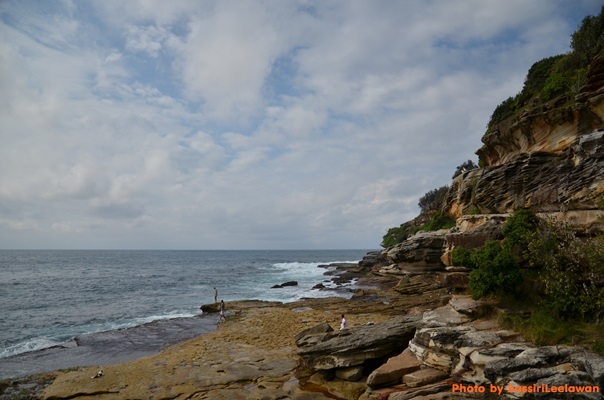 o6nrgwr3rhxz4jcifz-o